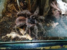 Tiergarten Schönbrunn am 24.02.2026